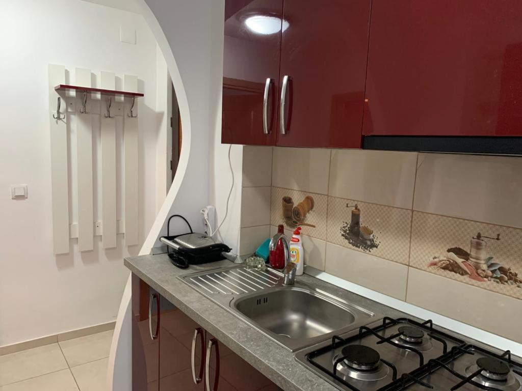 Garsoniera Natalia Lägenhet Sibiu Exteriör bild